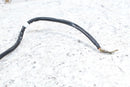 2023 KAWASAKI KLR650 S KLR 650 Battery Cables Wires Leads 26011-1936 26011-1937 - Motorcycle
