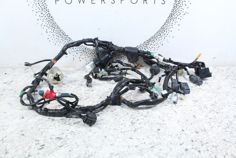 2023 KAWASAKI KLR650 S KLR 650 Main Wire Harness Loom  26031-3901