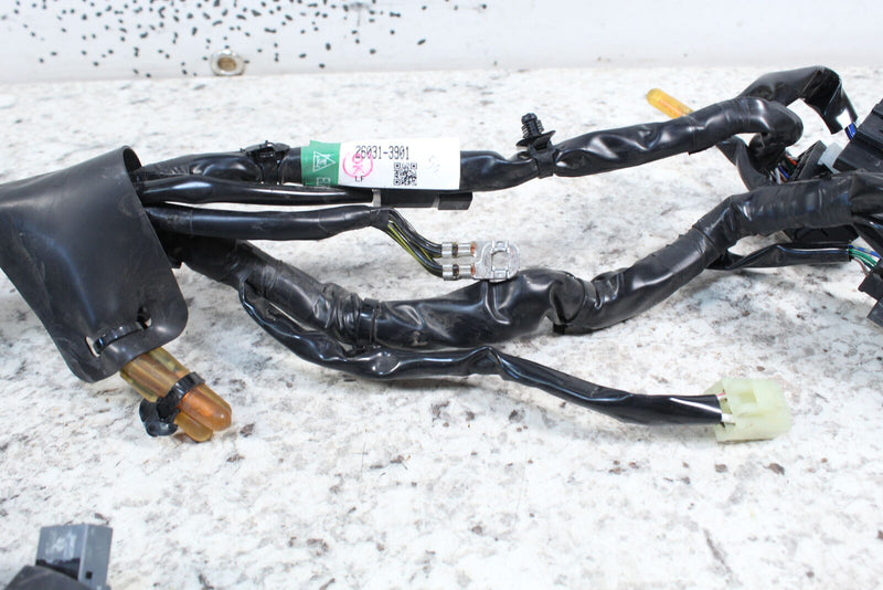 2023 KAWASAKI KLR650 S KLR 650 Main Wire Harness Loom  26031-3901