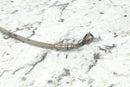 2009 ARCTIC CAT TRV 550/700 4X4 Rear Brake Line Hose 1502-140