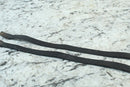 1988 KAWASAKI JET SKI 440 JS440 Gas Tank Straps Fuel Belts 92072-5218