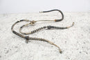 1994 POLARIS 300 4X4 Front Brake Lines 1930631 1930634 - ATV
