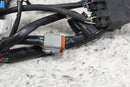 2000 HARLEY-DAVIDSON ELECTRA GLIDE CLASSIC EFI Engine Wire Harness 70233-00 - Motorcycle