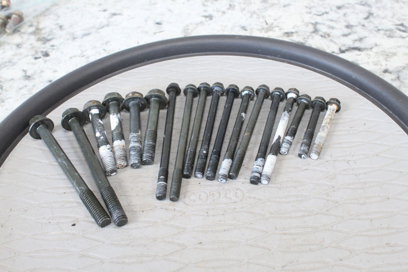 2001 ARCTIC CAT 400 4X4 MANUAL Main Case Crankcase Bolts 3423-092