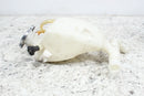 2003-2006 ARCTIC CAT F5 FIRECAT 500 Burp Bottle Antifreeze Coolant Tank 3606-3493