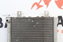 2003 POLARIS SPORTSMAN 500 Cooling Radiator 1240045 1240533