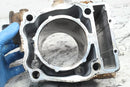 2003 POLARIS SPORTSMAN 500 Cylinder Jug with Piston 3086811