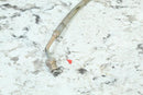 2003 POLARIS SPORTSMAN 500 HO Front Right Brake Line Hose 1910475