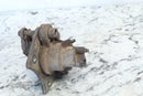 2003 POLARIS SPORTSMAN 500 HO Rear Brake Caliper 1910690