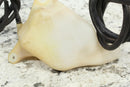 2003 YAMAHA KODIAK 400 4x4 Coolant Tank Surge Bottle Reservoir 5ND-F1871-00-00