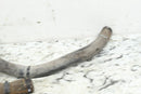 2003 YAMAHA KODIAK 400 4x4 Radiator Hoses Coolant Lines 5ND-E2482-00-00