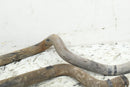 2003 YAMAHA KODIAK 400 4x4 Radiator Hoses Coolant Lines 5ND-E2482-00-00