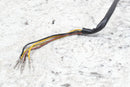 2004 SEA-DOO GTI LE 717 Stator Alternator Generator 420886725 - Watercraft