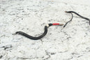 2005 HARLEY-DAVIDSON ROAD KING CLASSIC FLHRCI Battery Cables 70267-04 - Motorcycle
