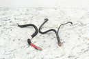 2005 HARLEY-DAVIDSON ROAD KING CLASSIC FLHRCI Battery Cables 70267-04 - Motorcycle