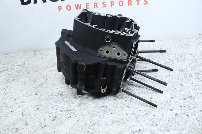 2005 HARLEY-DAVIDSON ROAD KING CLASSIC FLHRCI Crankcases Crank Case 24597-99
