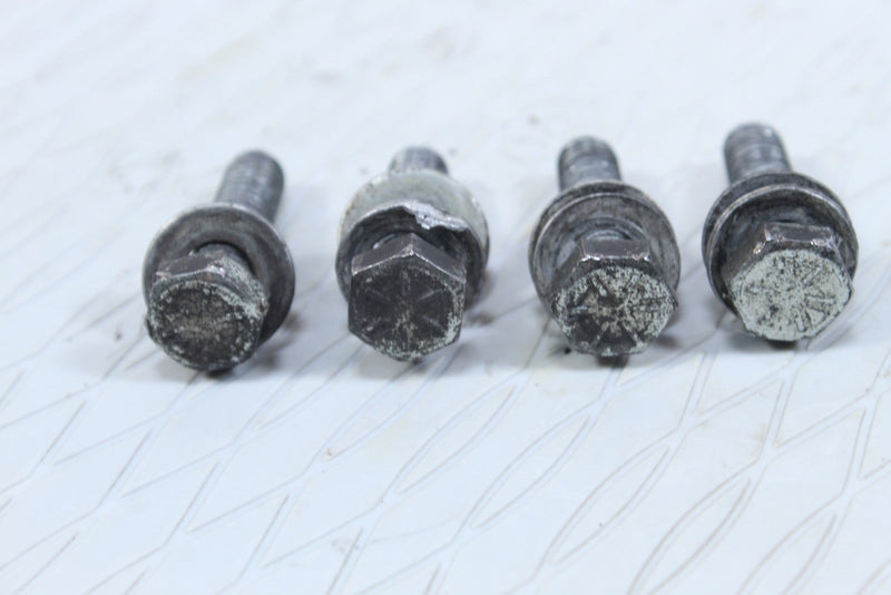 2005 HARLEY-DAVIDSON ROAD KING CLASSIC FLHRCI Front Fender Mounting Bolts 3462 - Motorcycle