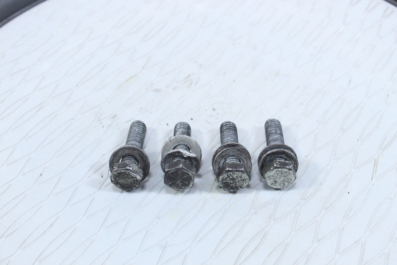 2005 HARLEY-DAVIDSON ROAD KING CLASSIC FLHRCI Front Fender Mounting Bolts 3462 - Motorcycle
