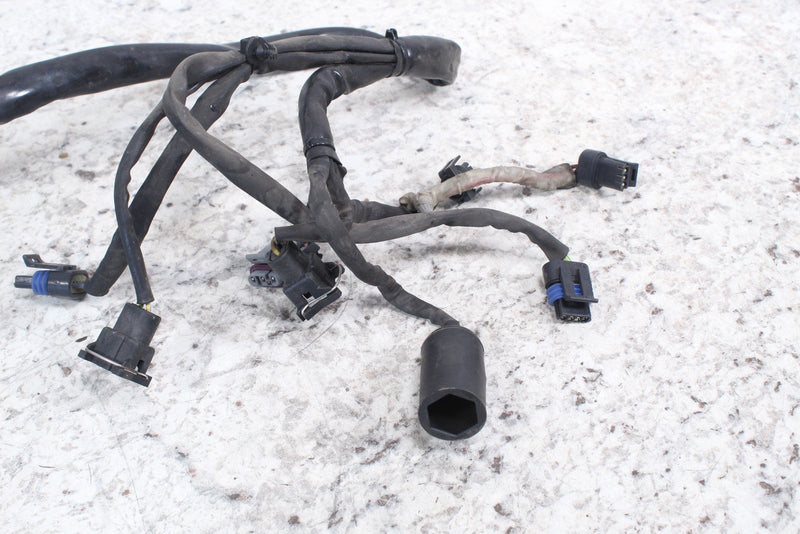 2005 HARLEY-DAVIDSON ROAD KING CLASSIC FLHRCI Injection Wire Harness 70233-04A - Motorcycle