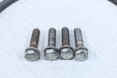 2005 HARLEY-DAVIDSON ROAD KING CLASSIC FLHRCI Rear Shock Bolts 3607 - Motorcycle