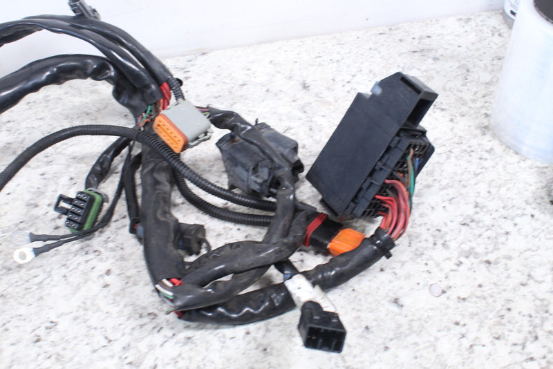2005 HARLEY-DAVIDSON ROAD KING CLASSIC FLHRCI Wire Harness 70245-04A - Motorcycle