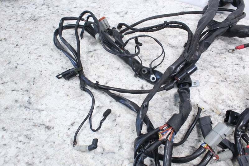 2005 HARLEY-DAVIDSON ROAD KING CLASSIC FLHRCI Wire Harness 70245-04A - Motorcycle