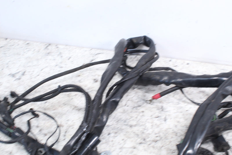 2005 HARLEY-DAVIDSON ROAD KING CLASSIC FLHRCI Wire Harness 70245-04A - Motorcycle