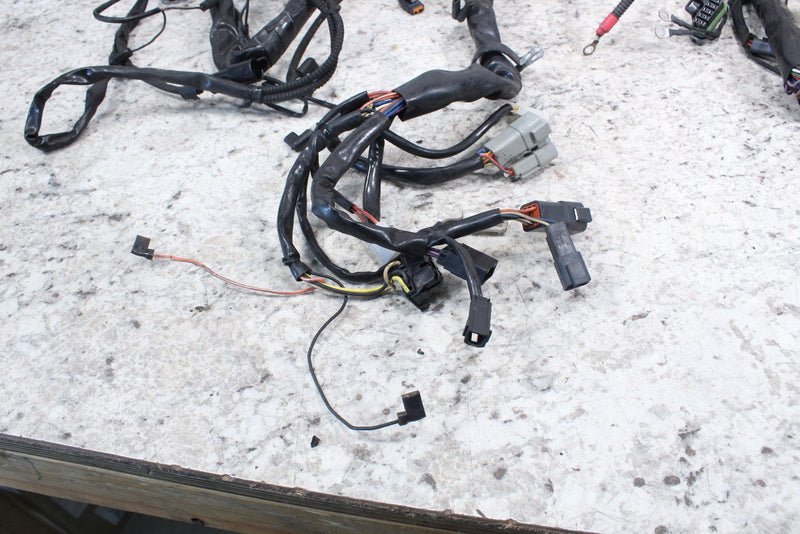 2005 HARLEY-DAVIDSON ROAD KING CLASSIC FLHRCI Wire Harness 70245-04A - Motorcycle