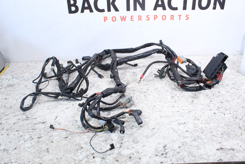 2005 HARLEY-DAVIDSON ROAD KING CLASSIC FLHRCI Wire Harness 70245-04A - Motorcycle