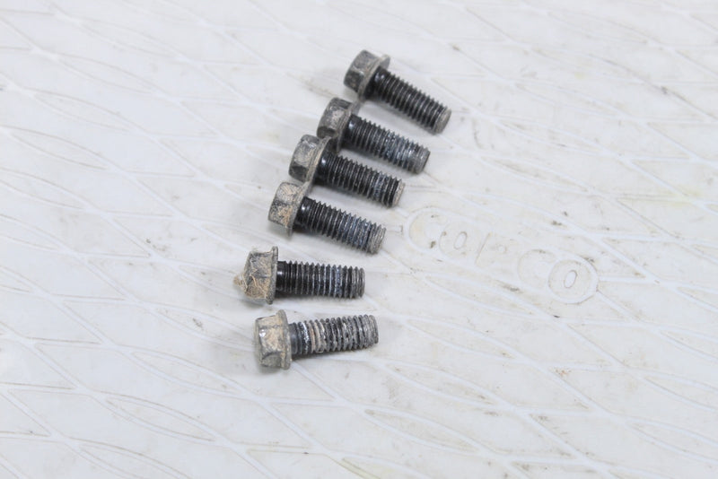 2005 HONDA RUBICON 500 Rear Brake Cover Mounting Bolts 96001-06016-07