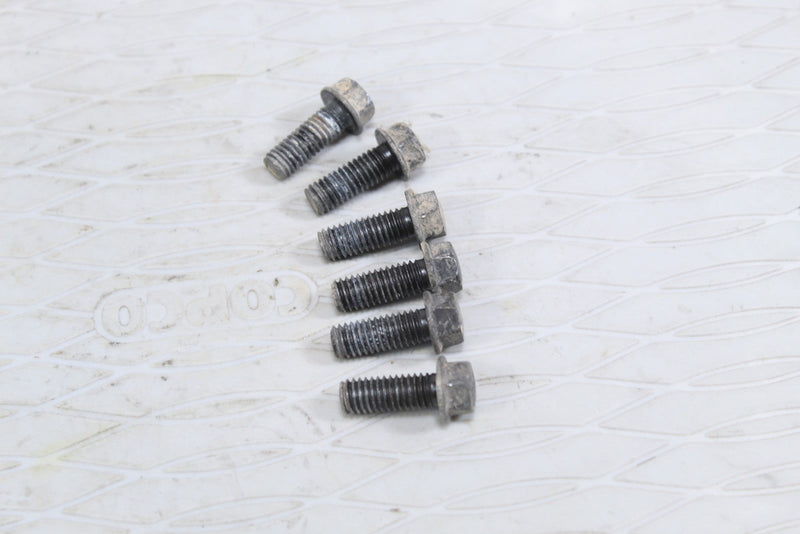 2005 HONDA RUBICON 500 Rear Brake Cover Mounting Bolts 96001-06016-07