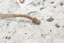 2005 POLARIS RANGER 500 Front Left Brake Line Hose 1910845