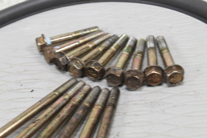 2005 POLARIS SPORTSMAN 600 Crankcase Bolts 7517793 - ATV
