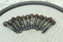 2006 Polaris RMK 600 H.O. Cylinder Head Bolts Screws 75175330