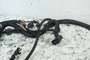 2006 POLARIS RMK 600 HO Wire Harness 24107296