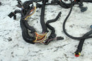 2006 POLARIS RMK 600 HO Wire Harness 24107298