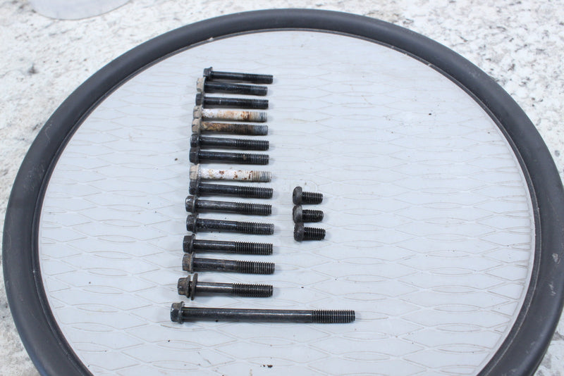 2007 SUZUKI EIGER 400 LTA400F 4X4 AUTO Inner Clutch Cover Bolts 01547-06403 - ATV