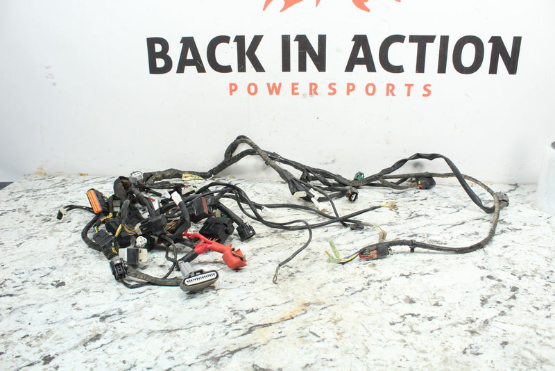 2007 YAMAHA GRIZZLY 700 Main Wiring Harness Wire Loom 3B4-82590-00-00 - ATV