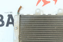 2008-2009 POLARIS RZR 800 RZR800 Cooling Radiator OEM 1240319 12414801