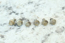 2008 POLARIS RZR 800 RZR800 Fuel Pump Mounting Bolts3