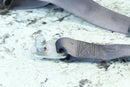 2008 YAMAHA RHINO 450 Seat Belt 5UG-G6241-00-00 5UG-F47K0-09-001
