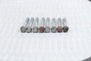 2008 YAMAHA RHINO 450 Wet Clutch Cover Mounting Bolts 95022-06040-003