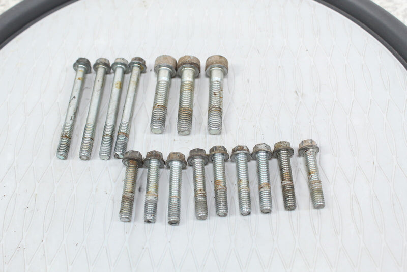 2008 YAMAHA RHINO 700 Main Crankcase Bolts 95022-06060-00 91312-08040-00 - ATV