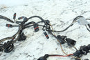 2009 2008-2017 BMW F800GS Engine Wire Harness Loom 125177054288