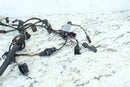2009 2008-2017 BMW F800GS Engine Wire Harness Loom 125177054286