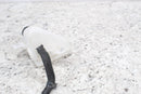 2009 2008-2017 BMW F800GS Radiator Overflow Expansion Tank Reservoir 171176793436