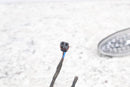 2009 BMW F800GS Aftermarket Turn Signals Blinkers Indicators 8