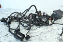 2009 BMW F800GS Electronic Cruise Control Assembly with Harness16