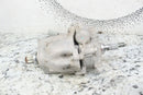 ATV - 2009 HONDA FOREMAN 500 TRX500FPE ES EPS Power Steering Motor  53600-HN2-B70