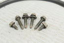 2009 POLARIS SPORTSMAN XP 550 EPS Front Bumper and Fang Mounting Bolts 7518842 - ATV